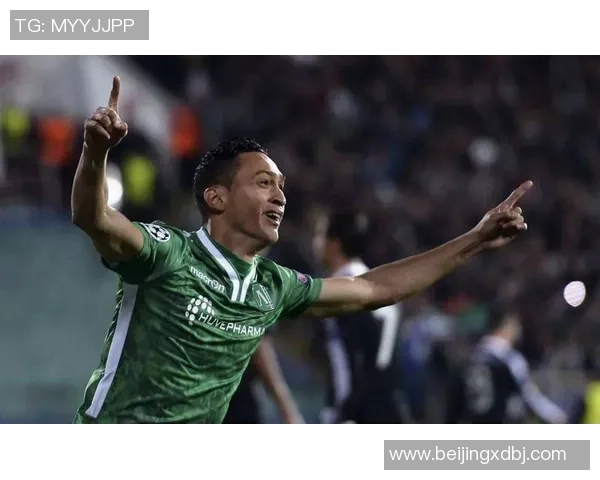 卢多戈雷与十字军对决前瞻分析及比赛结果预测